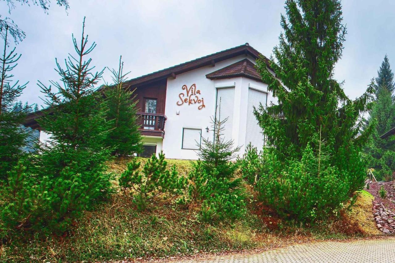 Holiday Home In Harrachov 33511 エクステリア 写真